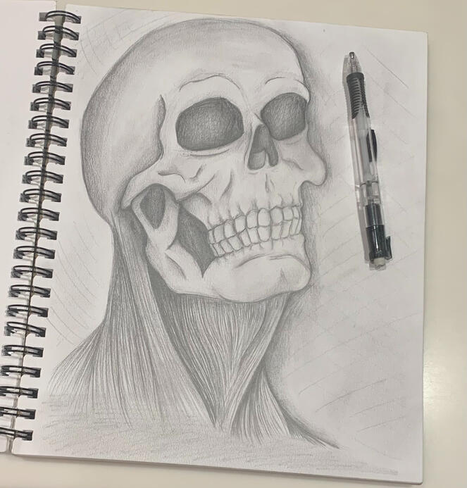 Human Skull Sketch done in graphite